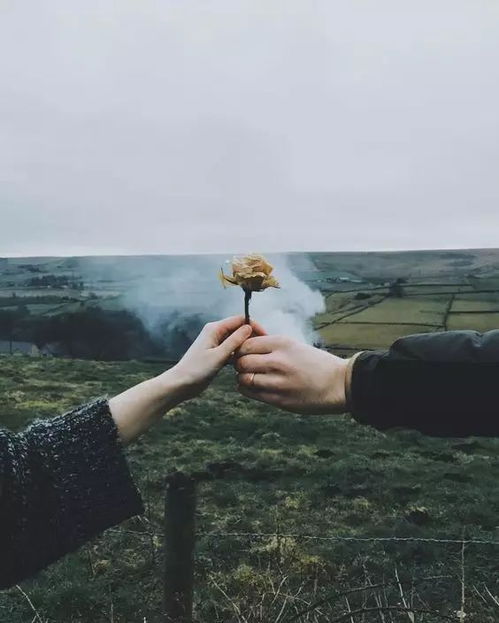 怎样挽回兄弟的说说,如何挽回失去的兄弟情谊