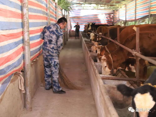 部队清房如何挽回，如何通过部队清扫打扫重振士气？