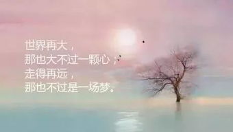 真心想挽回的歌曲,挽回最爱，真心祈愿
