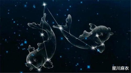 天蝎想挽回射手,如何让射手原谅天蝎