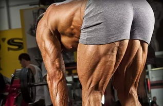 练成肌肉腿怎么挽回,如何让腿变得有肌肉：挽回之道