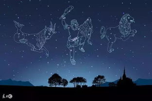 摩羯座真的无法挽回,摩羯座的爱情无法挽回