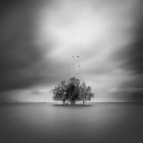 挽回朋友说说伤感句子,伤感句子：人生若只初相见，何事秋风悲画扇。新标题：初哭人别离，后悔秋风渐远。