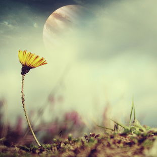 挽回信回复男生晚安,挽回信：让时间给你一个拥抱，也给我一个机会回复标题：倚窗小憩，望明月，思君安好