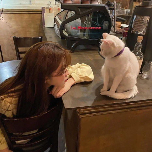 怎样挽回属狗的女人,如何挽回属狗女？