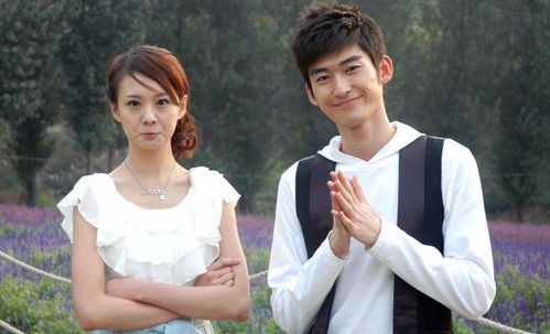 张翰想挽回郑爽,张翰为挽回郑爽而努力