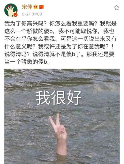 我无法挽回英文,挽回已不可能：新标题创作