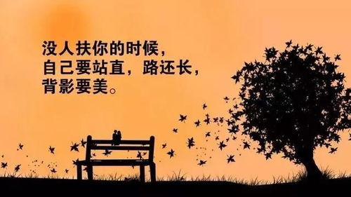 怎么也挽回不来,挽回已无可能，如何重新开始