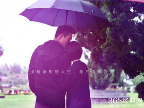 无法挽回剧情介绍,痛失挽回：剧情概要