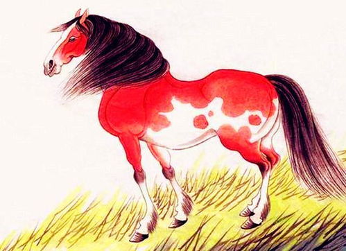 怎样挽回属羊男人,如何挽回属羊男