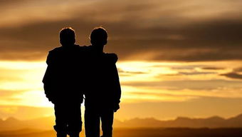 绝交的兄弟怎么挽回,如何挽回破裂的兄弟情？