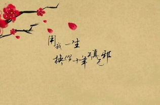 挽回爱情的句子诗词,重拾爱情，缘定今生