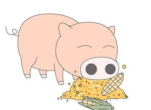 属猪该如何挽回婚姻,属猪夫妻如何重修旧好