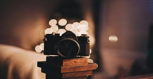 注定不能挽回的星座男女，十二星座因无法挽回而分道扬镳