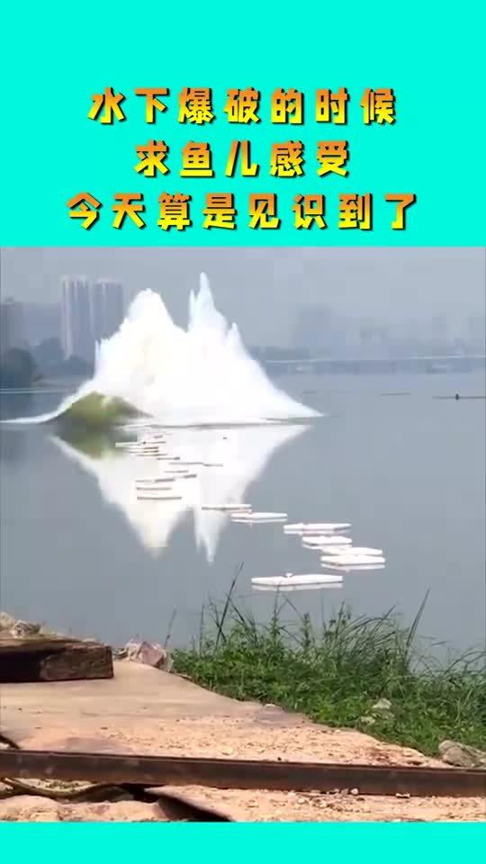 鱼水情感挽回,挽回爱情，让鱼水情更深