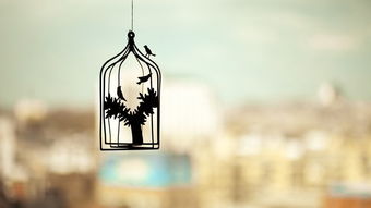 天秤男挽回最佳时间,天秤男最佳挽回时机