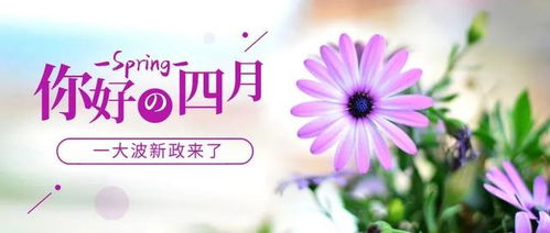 挽回爱情的花语情话,用花语说出我的爱–情话大全