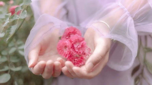 如何挽回婚姻中女人,如何有效修复婚姻关系