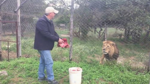 怎样挽回属狗的男人,如何挽回属狗男？)