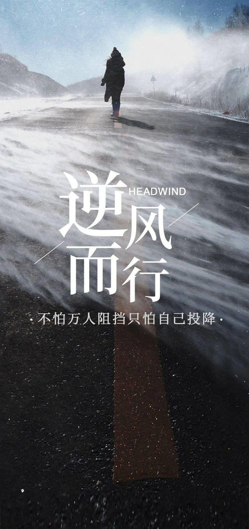 尽力挽回经典语录,经典语录濒临失传，挽回不易