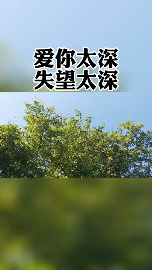 男人删掉你怎么挽回,如何挽回被男友删除的感情