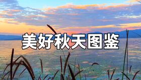 墙倒众人推如何挽回,如何挽回众人皆喜之境