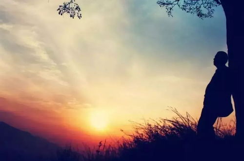 想挽回必须要放下,挽回前必须先释怀