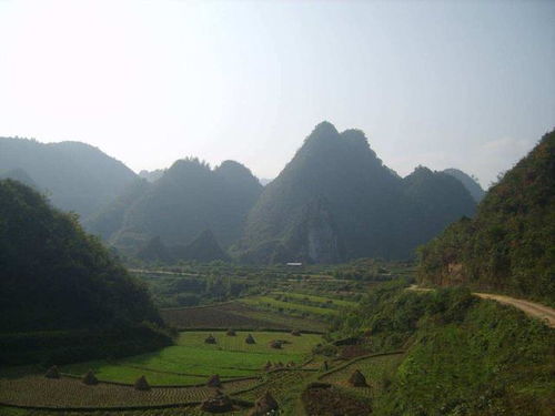 外缘殊胜挽回家运,“风水宝地”护佑家运，外缘殊胜获新生