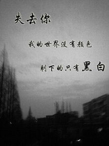 挽回不了想放弃了,放弃不是解决之道)