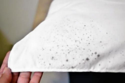 衣服发霉怎么挽回,衣服发霉怎么救？