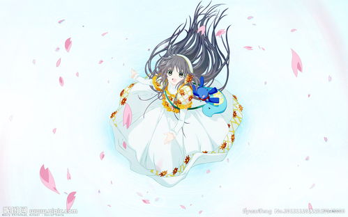 十二星座怎么挽回狮子,十二星座挽回狮子攻略