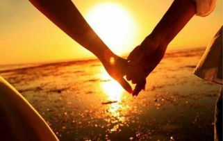 爱你不放手挽回前妻，挽回前妻，执子之手，将心比心