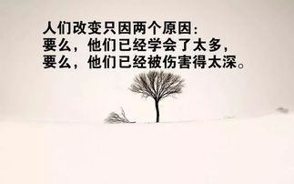 想挽回友情的语句,如何挽回破裂的友谊