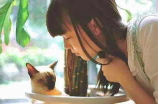 女方出轨后挽回视频,如何挽回出轨女友？