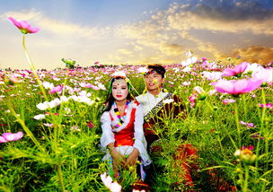 送花卡片挽回文案,挽回爱情的花卡片，让心动再次绽放