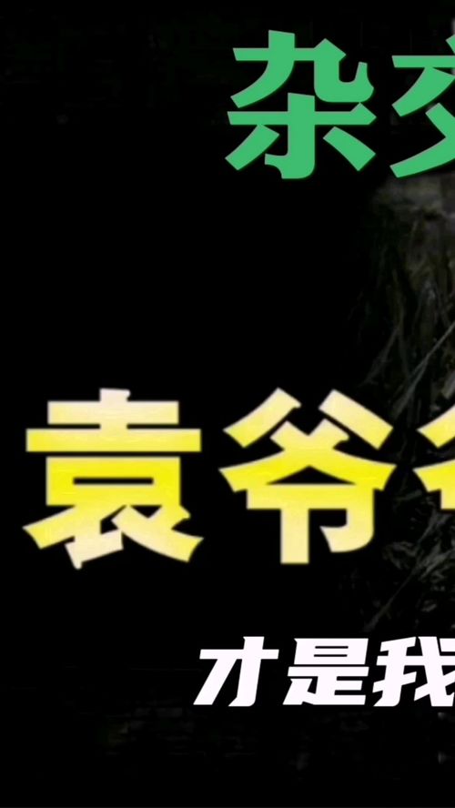 败家子怎么挽回,败家子的重生之路