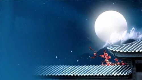 挽回番外明月珰,明月珰：挽回之路