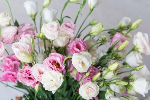 分手后送花想挽回,用花挽回，是分手后的绝招)