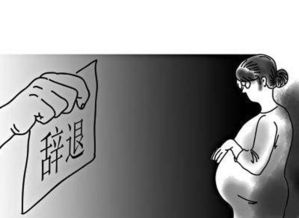 被辞退工作怎么挽回,挽回被辞退工作的方法