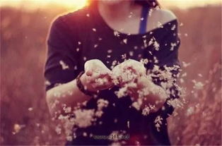 放开手挽回自己,重新振作，走向成功