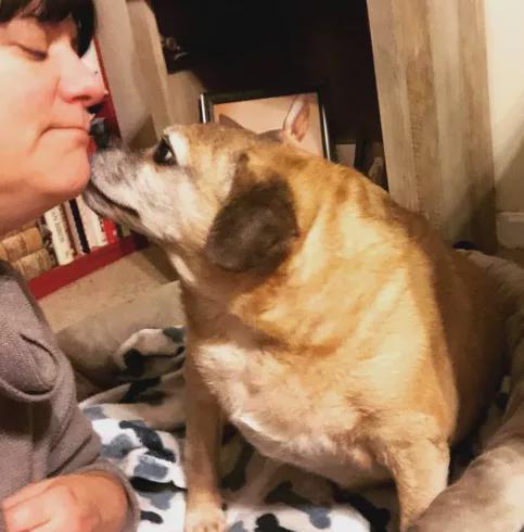 喂狗成功挽回男友成功,喂狗成功，挽回男友)