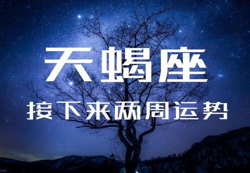 半年挽回天蝎男，如何在半年内重新赢得天蝎男的心？