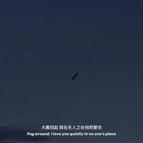 挽回前任伤感话语大全,失恋常说的话汇总