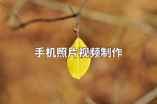 挽回精品视频教程,效果极佳！视频教程助你挽回爱情