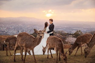 狮子男分手还能挽回,如何挽回分手的狮子男？