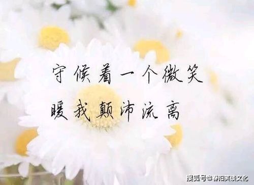 挽回情人心的诗歌,重拾爱情，挽回心扉
