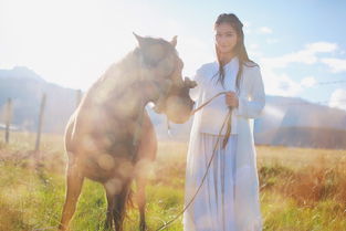 婚姻挽回的机构吗,婚姻救助机构