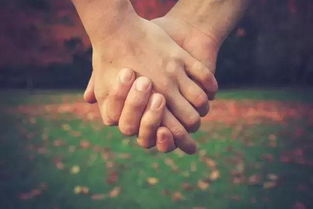 挽回的手的图片,挽回爱情的秘籍，上手困惑喵手指导！