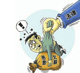 帮老板挽回损失,挽回损失：老板计划成功实施