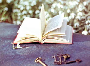 挽回老师花束文案图片,珍惜老师，感谢她的付出！